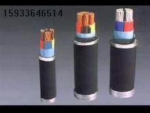 天津NH-YJV22与NH-YJV耐火交联电力电缆 关键特性与应用解析